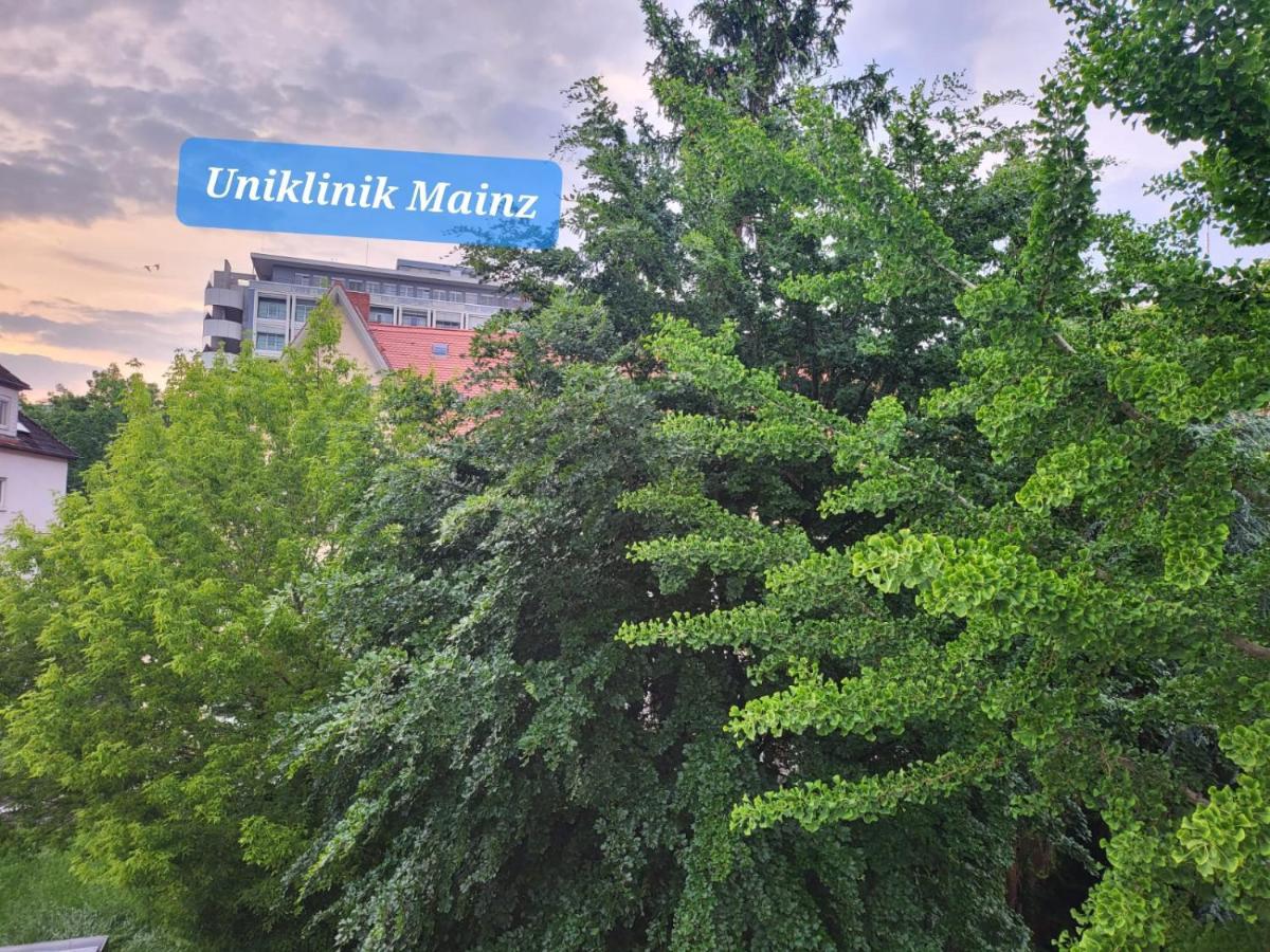 Schoenes, Vollmoebliertes Direkt An Der Uniklinik Moguncja